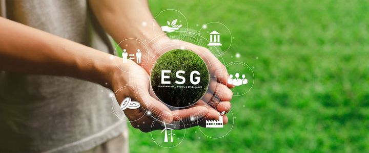 ESG Assurance Service