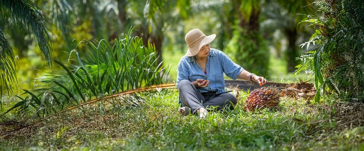 RSPO (Roundtable on Sustainable Palm Oil)